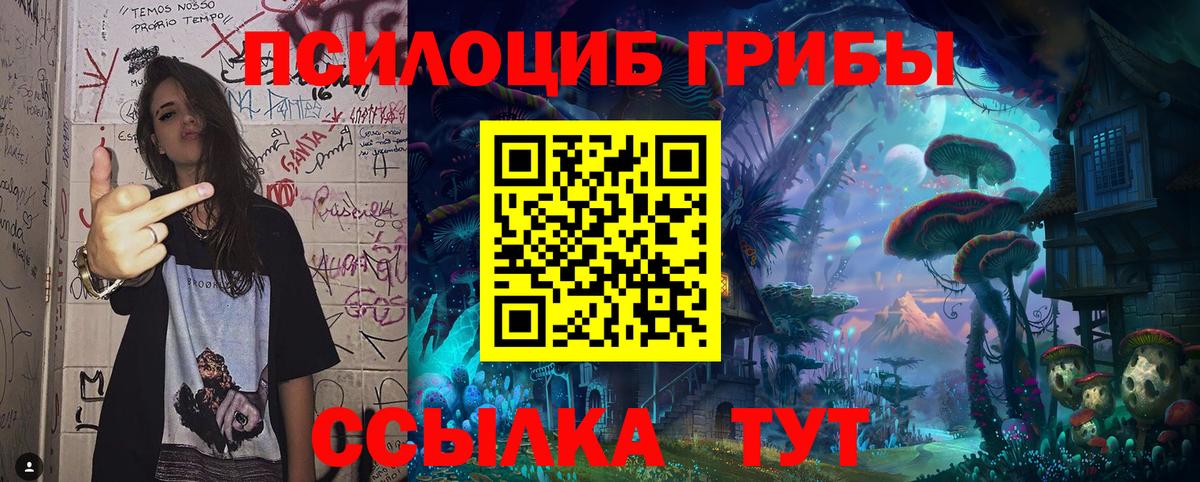 Новочебоксарск  Псилоцибиновые грибы Psilocybine cubensis  Вход с VPN 