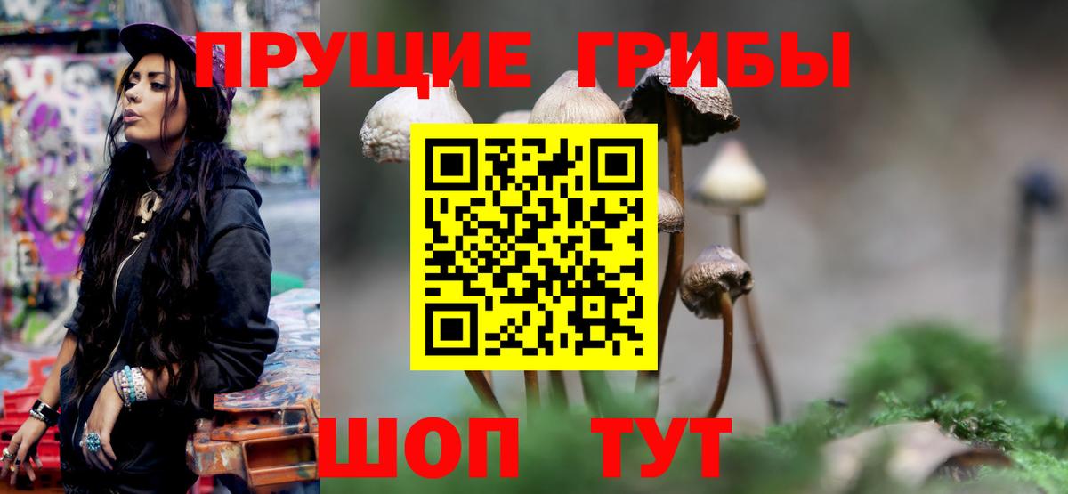 Галлюциногенные грибы мицелий Новочебоксарск
